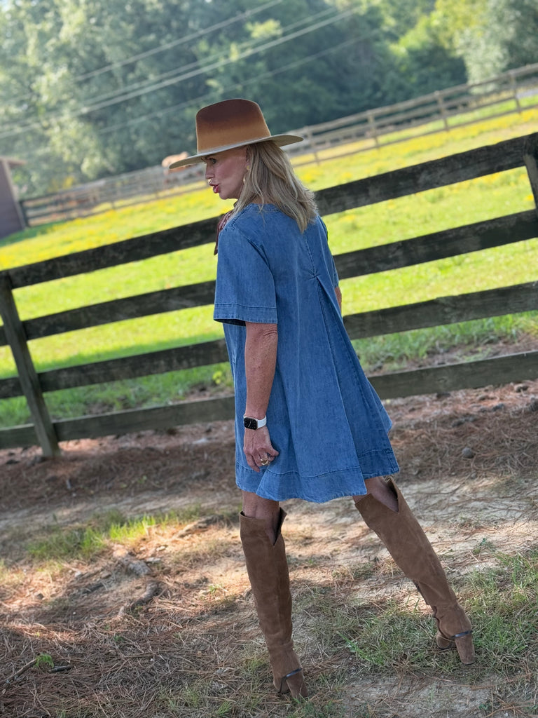 Stunner in Denim Dress