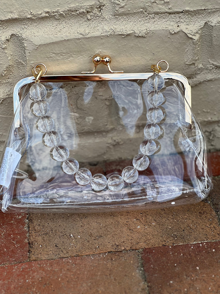 Pouch Style Clear Purse