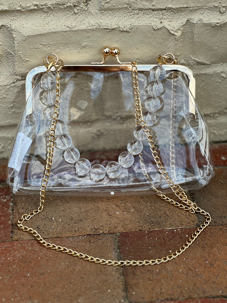 Pouch Style Clear Purse